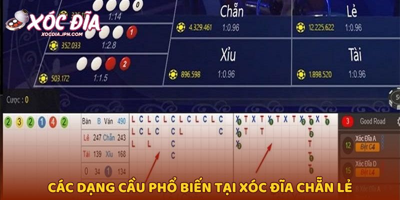 Các dạng cầu phổ biến tại xóc đĩa chẵn lẻ