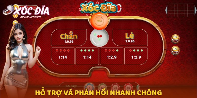 Hỗ trợ và phản hồi nhanh chóng