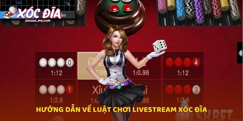 Hướng dẫn về luật chơi Livestream xóc đĩa
