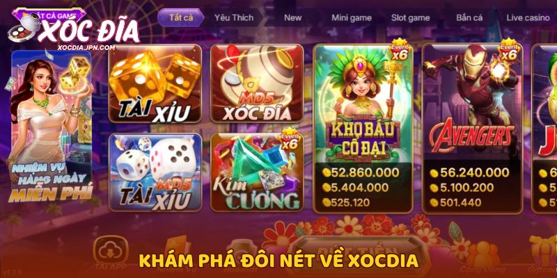 Khám phá đôi nét về Xocdia