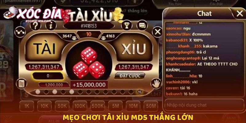Mẹo chơi Tài xỉu MD5 thắng lớn
