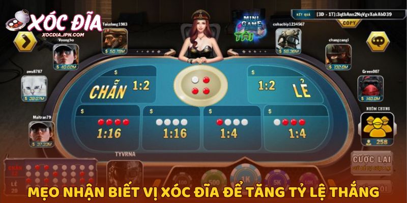 Mẹo nhận biết vị xóc đĩa để tăng tỷ lệ thắng