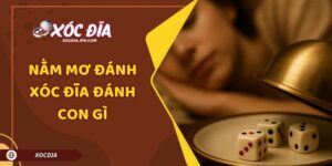 Nằm Mơ Đánh Xóc Đĩa Đánh Con Gì? Giải Mã Giấc Mơ Chuẩn