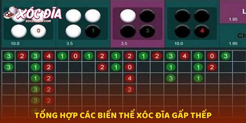 Tổng hợp các biến thể xóc đĩa gấp thếp
