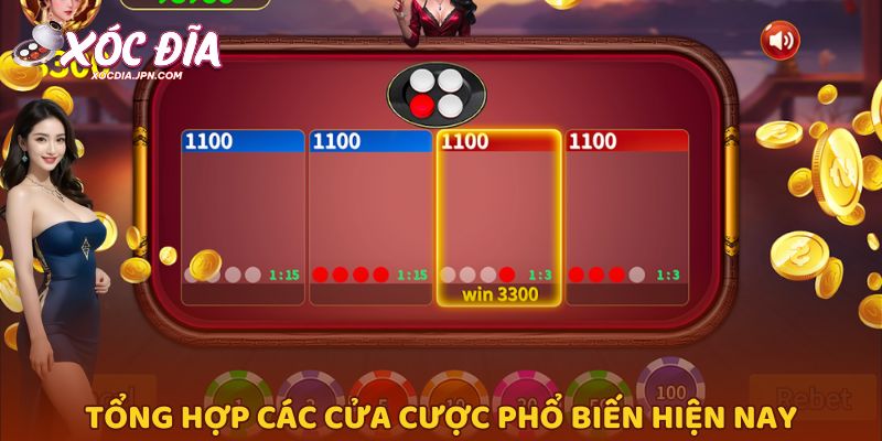 Tổng hợp các cửa cược phổ biến hiện nay
