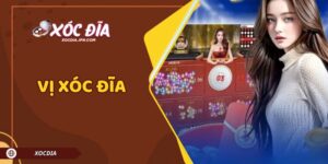 Vị Xóc Đĩa – Chiến Thuật Thắng Lớn Từ Những Chuỗi Soi Cầu