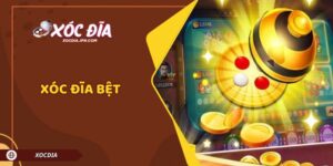 Xóc Đĩa Bệt – Kinh Nghiệm Chơi Thắng Lớn Từ Cao Thủ Lâu Năm